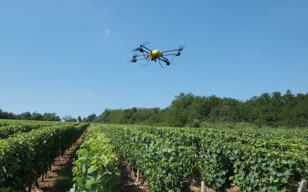 Solution drone U130 inspecte les vignes