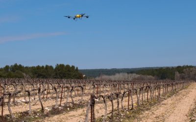 Le U130 au service de la viticulture Bordelaise